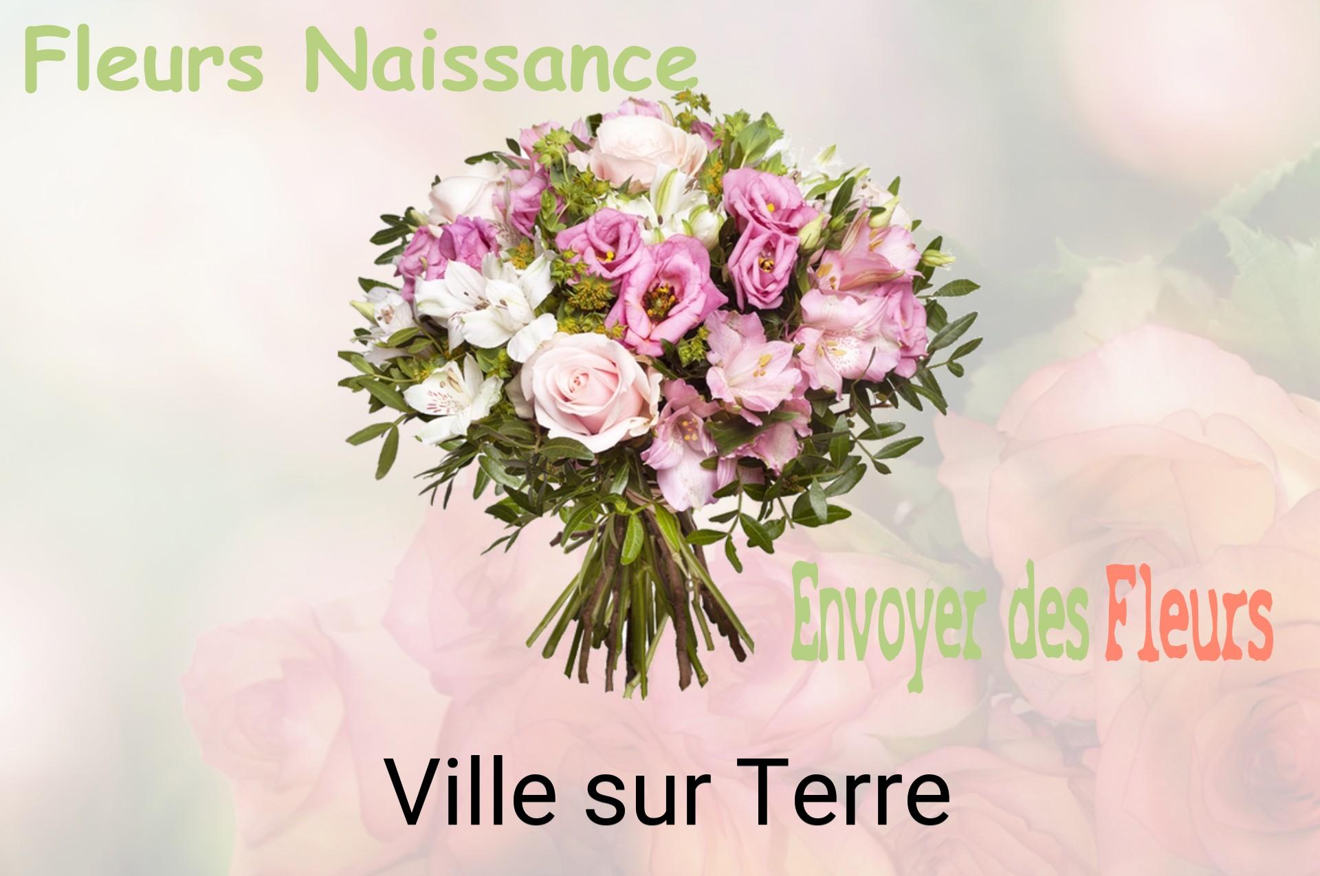 Bouquet de fleurs de naissance livré à Ville-sur-Terre
